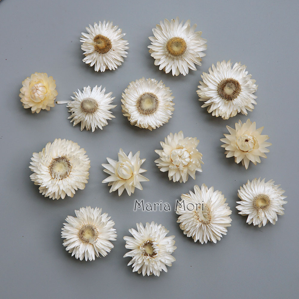 Karangan bunga krisan warna-wa - Candle Making Bath ulasan dan harga
