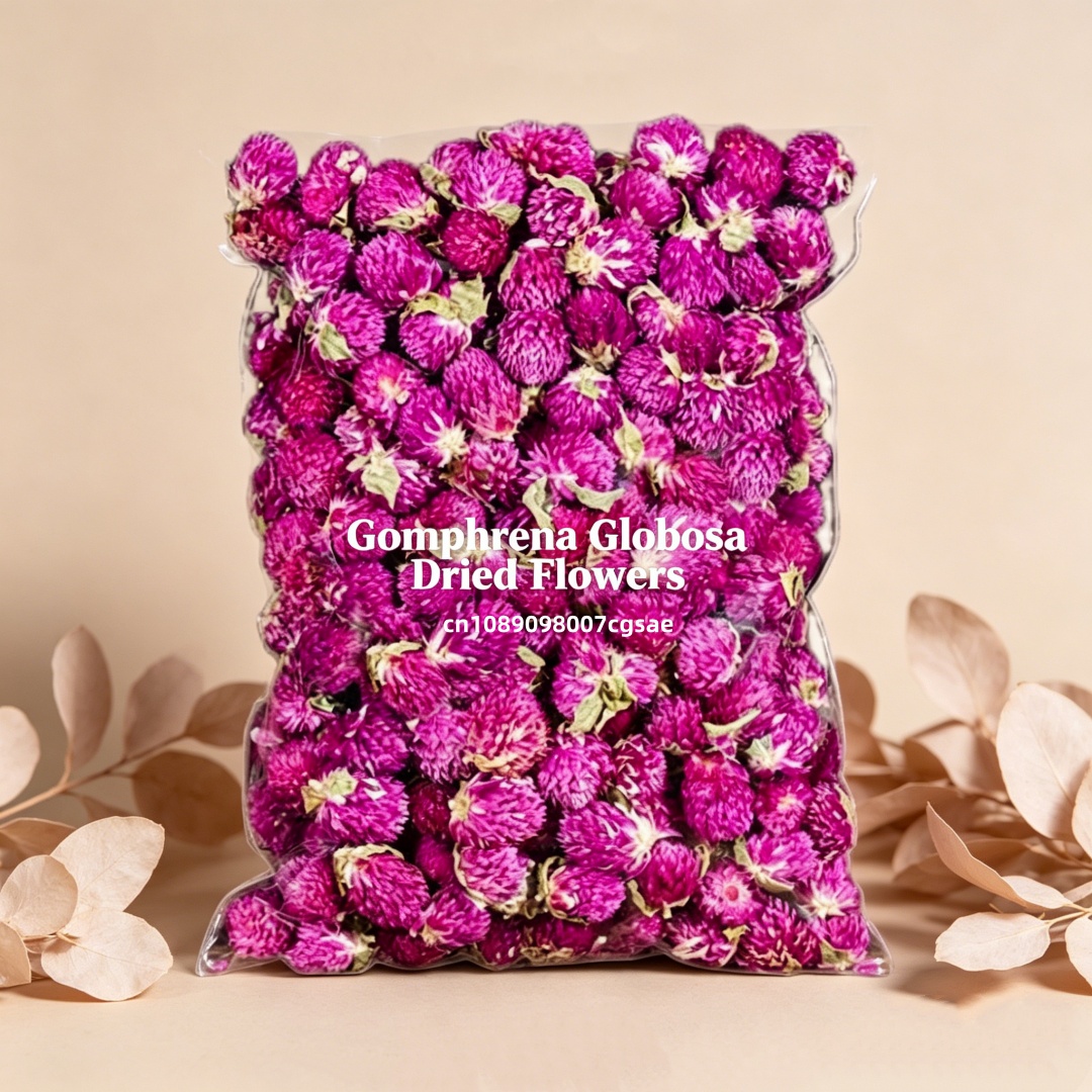 Bunga Gomphrena Kering Alami B - Candle Making And Perfume ulasan dan harga