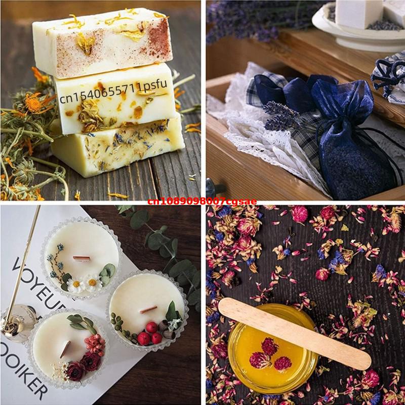 Bunga Gomphrena Kering Alami B - Candle Making And Perfume ulasan dan harga