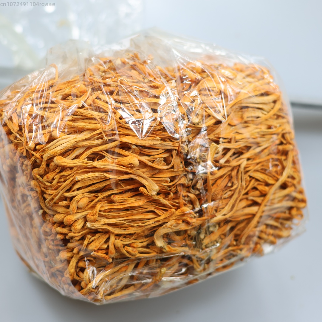 250g/500g Cordyceps Bunga Keri - Candle Making Bath ulasan dan harga
