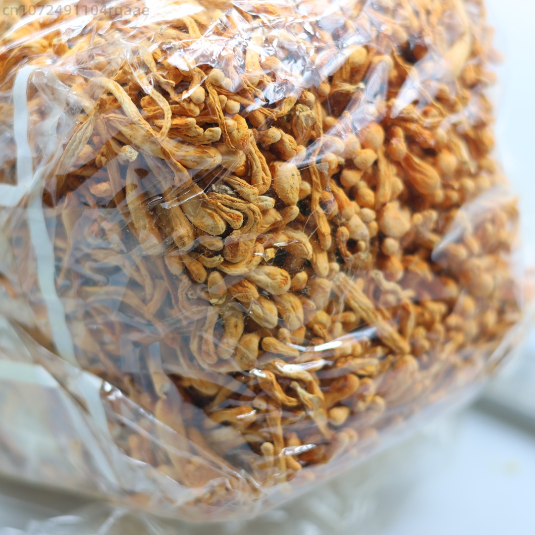 250g/500g Cordyceps Bunga Keri - Candle Making Bath ulasan dan harga